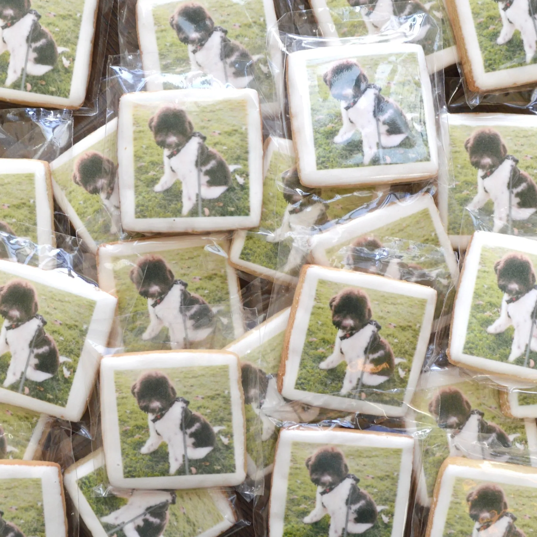 Chefanie Custom Printed Cookies Clearance