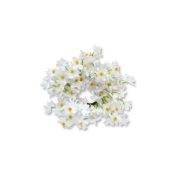 Chefanie Daffodil Napkin Rings (4) Clearance