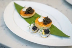 Chefanie Glass Blini Earrings New