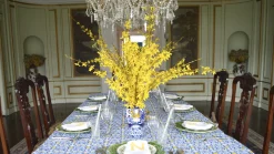 Chefanie Signature Tablecloth Sale